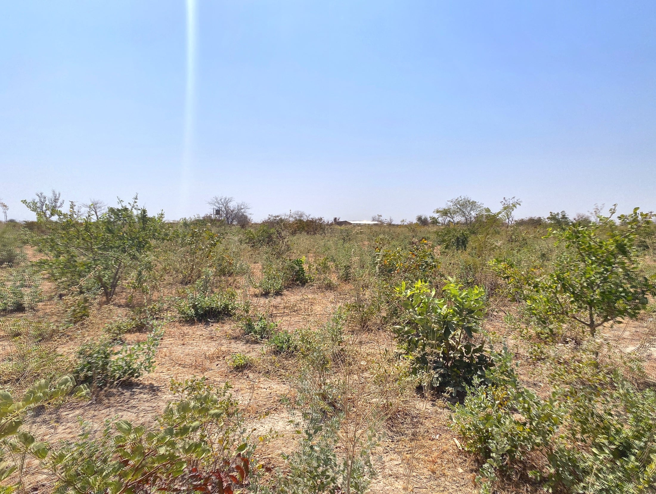 TERRAIN D'UN HECTARE À TANSOBTENGA À L'EXTÉRIEUR DU CONTOURNEMENT DE SAABA EN VENTE SUR PERFECTOR IMMOBILIER