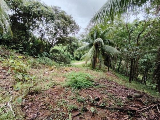 3,520 M² PROPERTY FOR SALE – NATURE, WILDLIFE & AVAILABLE ...