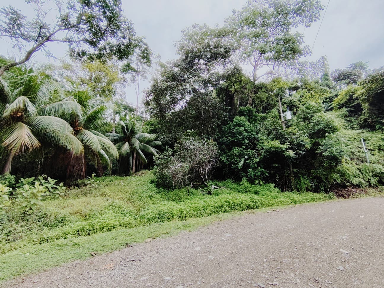 7,482 M² PROPERTY FOR SALE – FOREST, CREEK & CLOSE TO BEACHES AND SERVICES