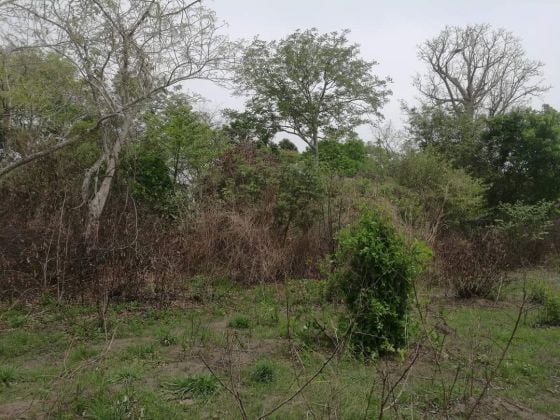 60 HECTARES DE DOMAINES À VENDRE À KPOMASSÈ ...