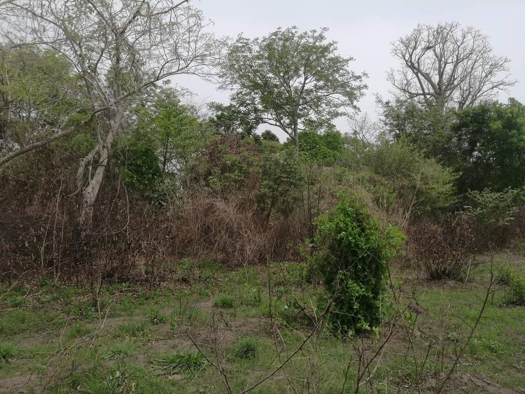 60 HECTARES DE DOMAINES À VENDRE À KPOMASSÈ PRÉCISEMENT À ATCHAKANMÈ 