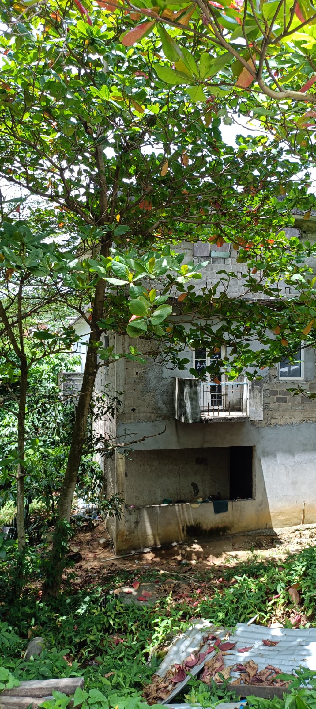 Terrains de waouh à cocody centre proche dès écoles françaises