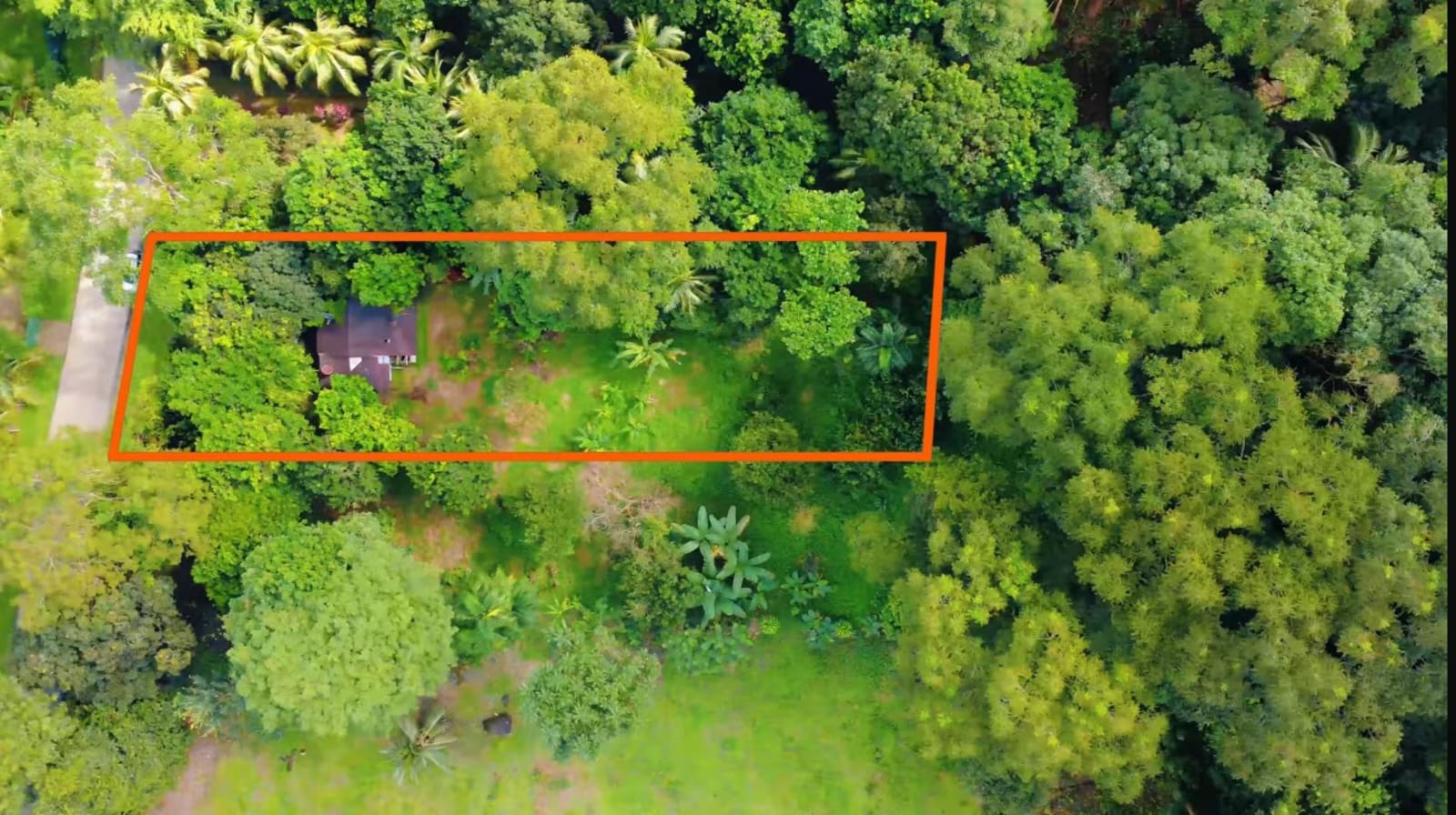 SE VENDE: 3.095 M² EN CORONADO DE OSA | LOTE FRENTE AL RÍO CON BOSQUE Y CASA PARA REFORMAR
