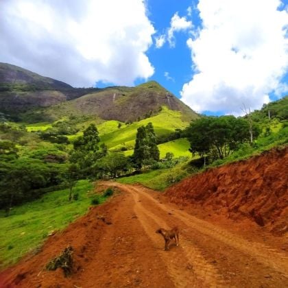 Domaine Éco-20 Ha – Fort Potentiel de Lotissement rural