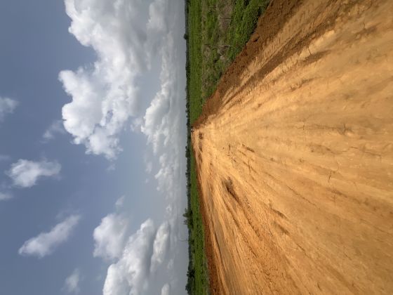 SALE OF 10 HECTARES WITH ACD IN THE SONGON AREA