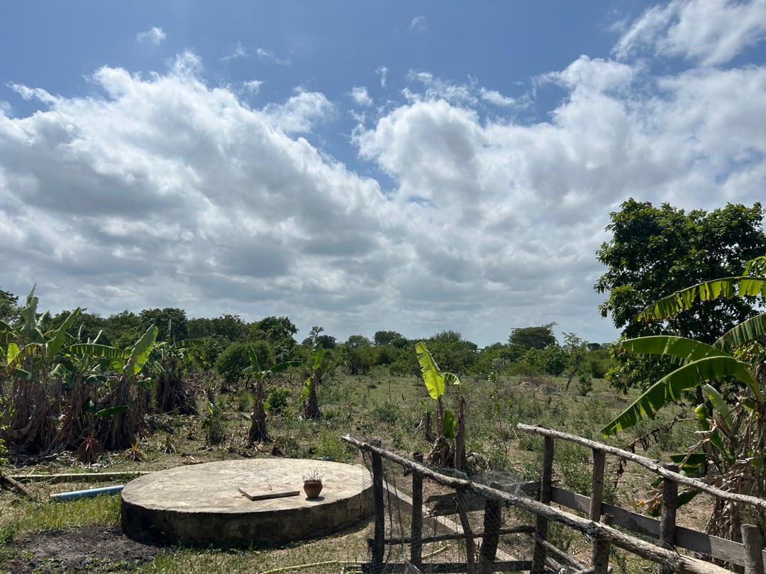 Finca agrícola en venta en Kidomole, Bagamoyo (con título de propiedad)