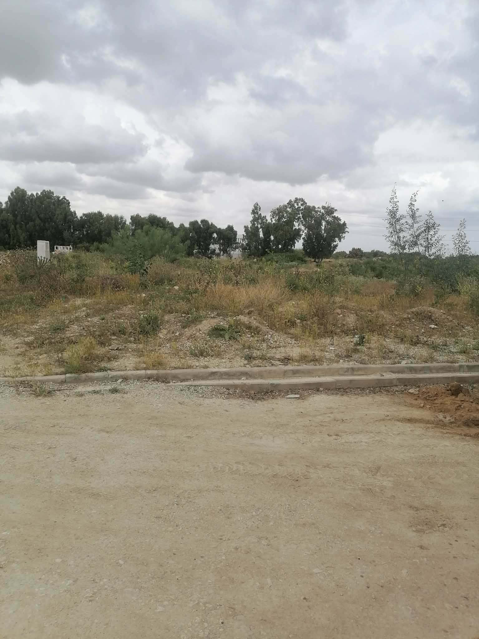 soukra chotrana 3 coté restaurant el firma