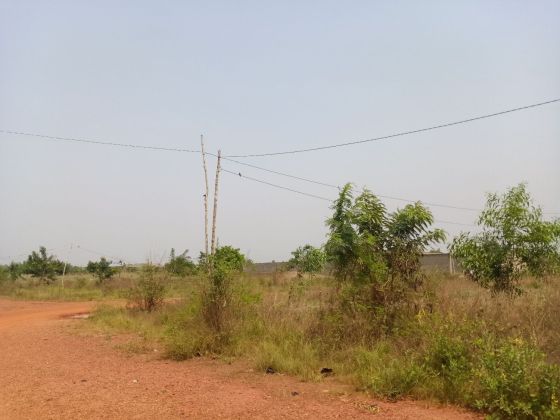 Parcelle de 02 lots collés avec 02 angles rues à brader ...