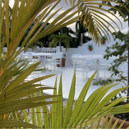 Propriété à vendre à Saint-Domingue, ...