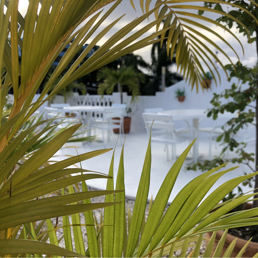 Propriété à vendre à Saint-Domingue, République dominicaine