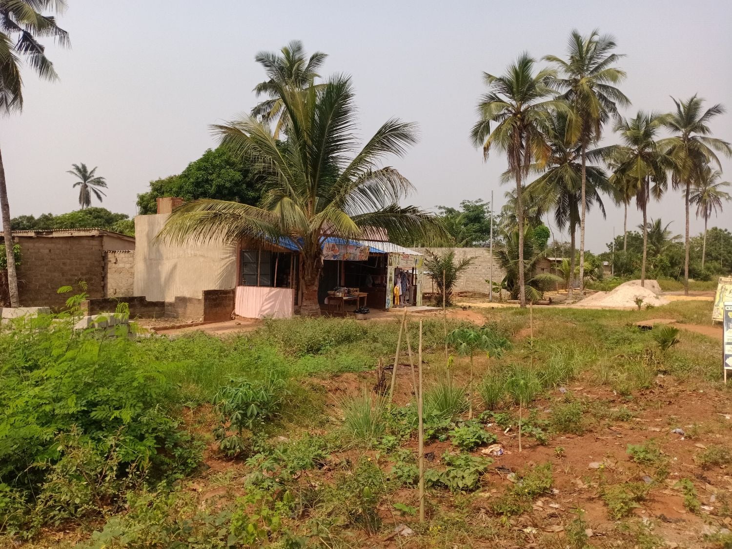 Terrain de œ lot bien positionné à vendre au bord d'une grande voie à Djagblé Klégomé(LOMÉ-TOGO)