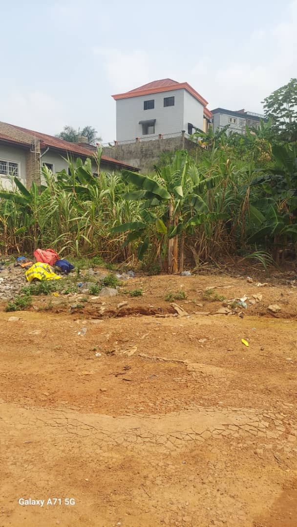 Magnifique terrain titré à vendre à Douala yassa cité chirac