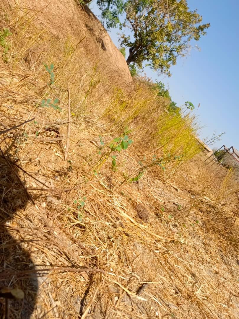 SUPERFICIE : 2,8 HECTARES Disponible à Gampela après le contournement environ 400m du goudron / FERME & USINE DE PRODUCTION D'EAU À VENDRE !
