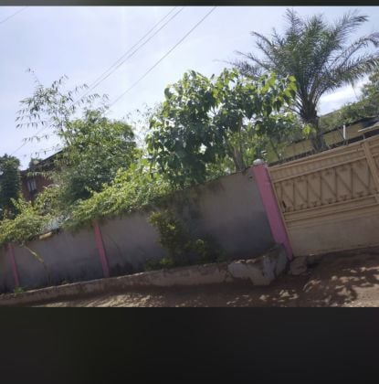 Villa basse en vente à petit paris 