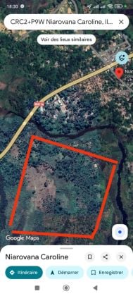 Concession de Cannelle