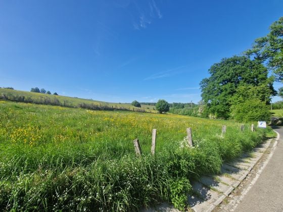 6830 LES HAYONS - Bouillon : superbe terrain, 1ha 44a 66ca, Vallée ...