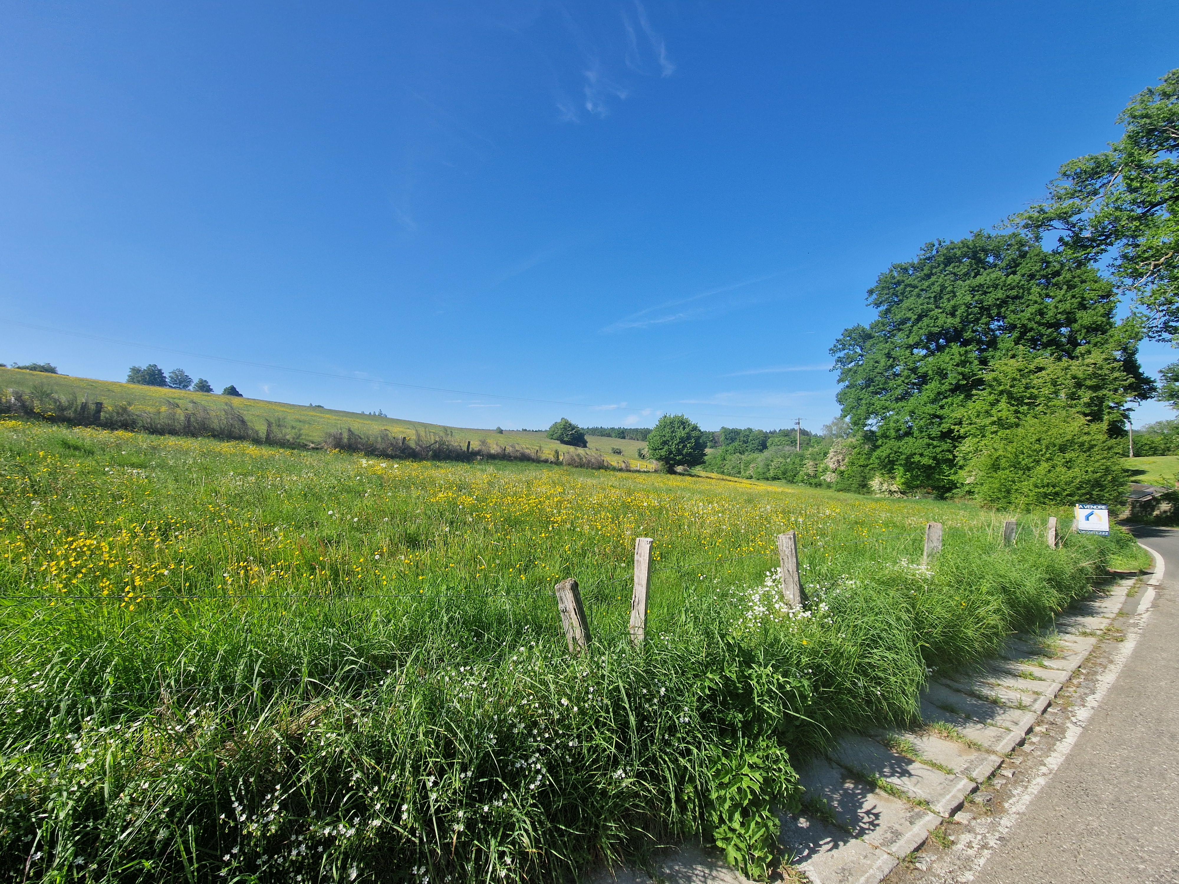 6830 LES HAYONS - Bouillon : superbe terrain, 1ha 44a 66ca, Vallée de la Semois.