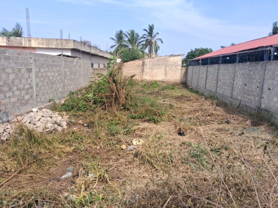 Terrain clôturé de œ lot en vente à ...