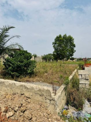 Parcelle de œ lot à liquider pour urgence à ...