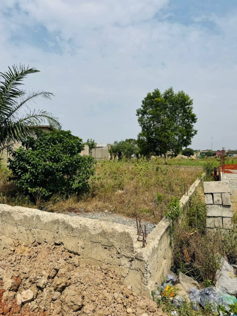 Parcelle de œ lot à liquider pour urgence à Djagblé 