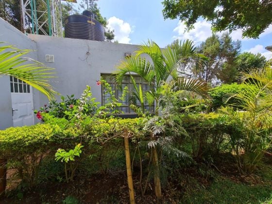 Charming 1-Bedroom Furnished Cottage for Rent – Kitisuru