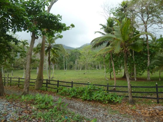 Parcela edificable de una hectárea junto al mar