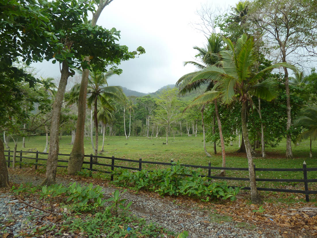 Parcela edificable de una hectárea junto al mar
