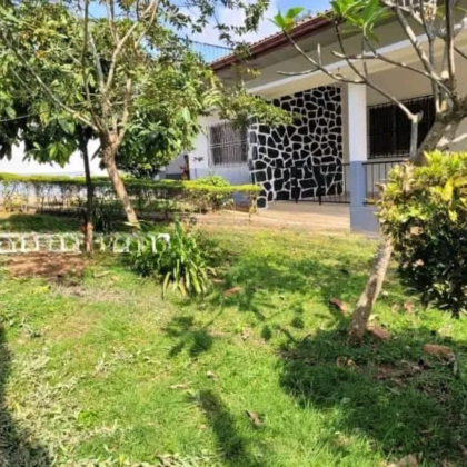 Grande villa avec jardin a louer 