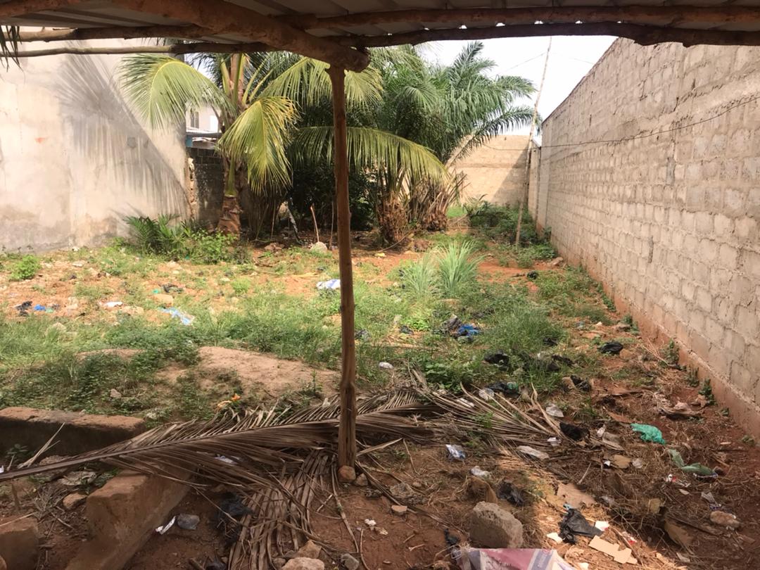 Parcelle de œ lot à liquider à ZANGUÉRA KLOVI KPOTA (LOMÉ-TOGO)