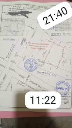 Parcelle de 04 lots collés en vente à ...