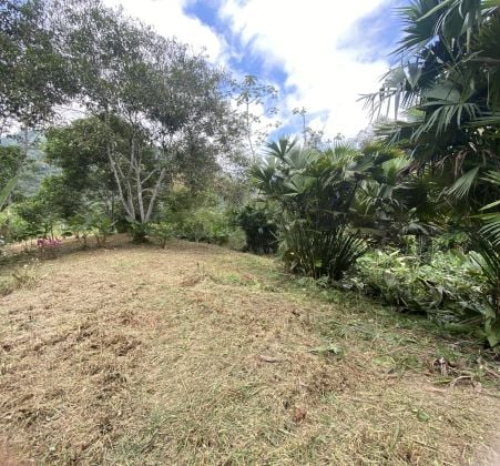 Minca Reserva Del Recuerdo