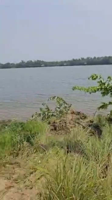 Assinie en bordure d'eau 2 terrains collées 8.539 m² et 7.007 m²