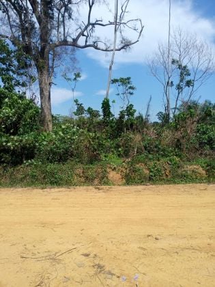 Terrain titré à vendre à kribi 1er.