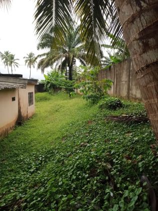 vente à Cocody centre cité SODEFORE et  en bordure du ...