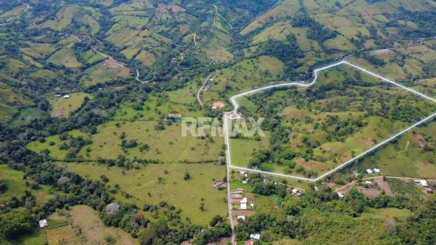 FINCA GANADERA EN VENTA EN EL ÁGUILA DE PEJIBAYE, PÉREZ ...