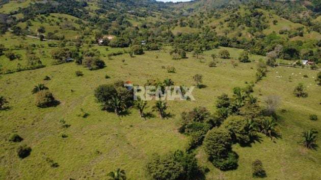 FINCA GANADERA DE 27 HECTÁREAS EN PÉREZ ZELEDÓN