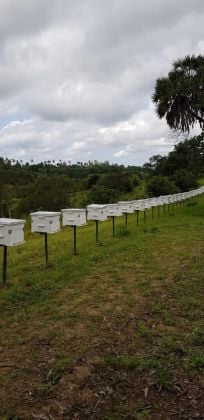 A FERTILE LAND FOR SALE IN SHIMBA HILLS, KWALE COUNTY,KENYA. 