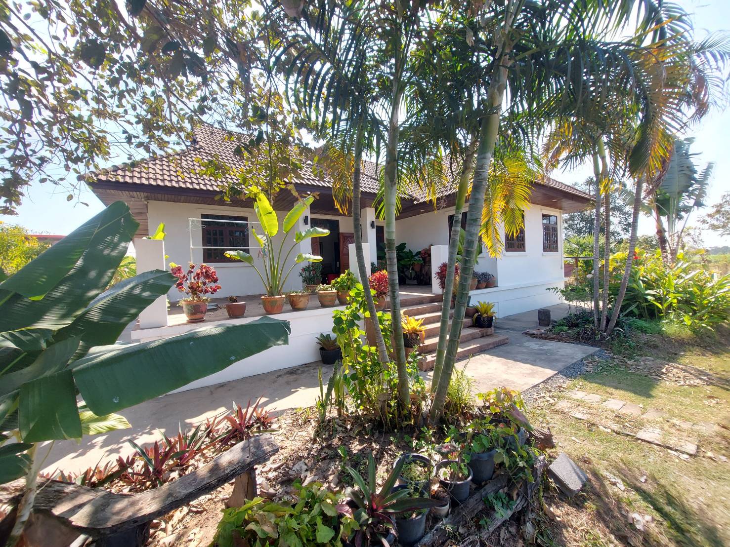 Spacious single-story home with 3.45 rai, near to Prasat center