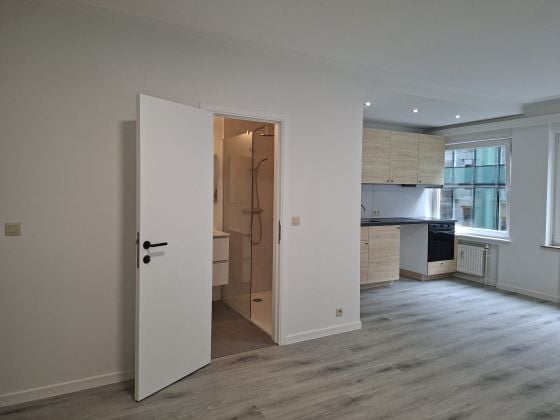 FULLY RENOVATED STUDIO – SCHUMAN/EU Institutions AREA – ...