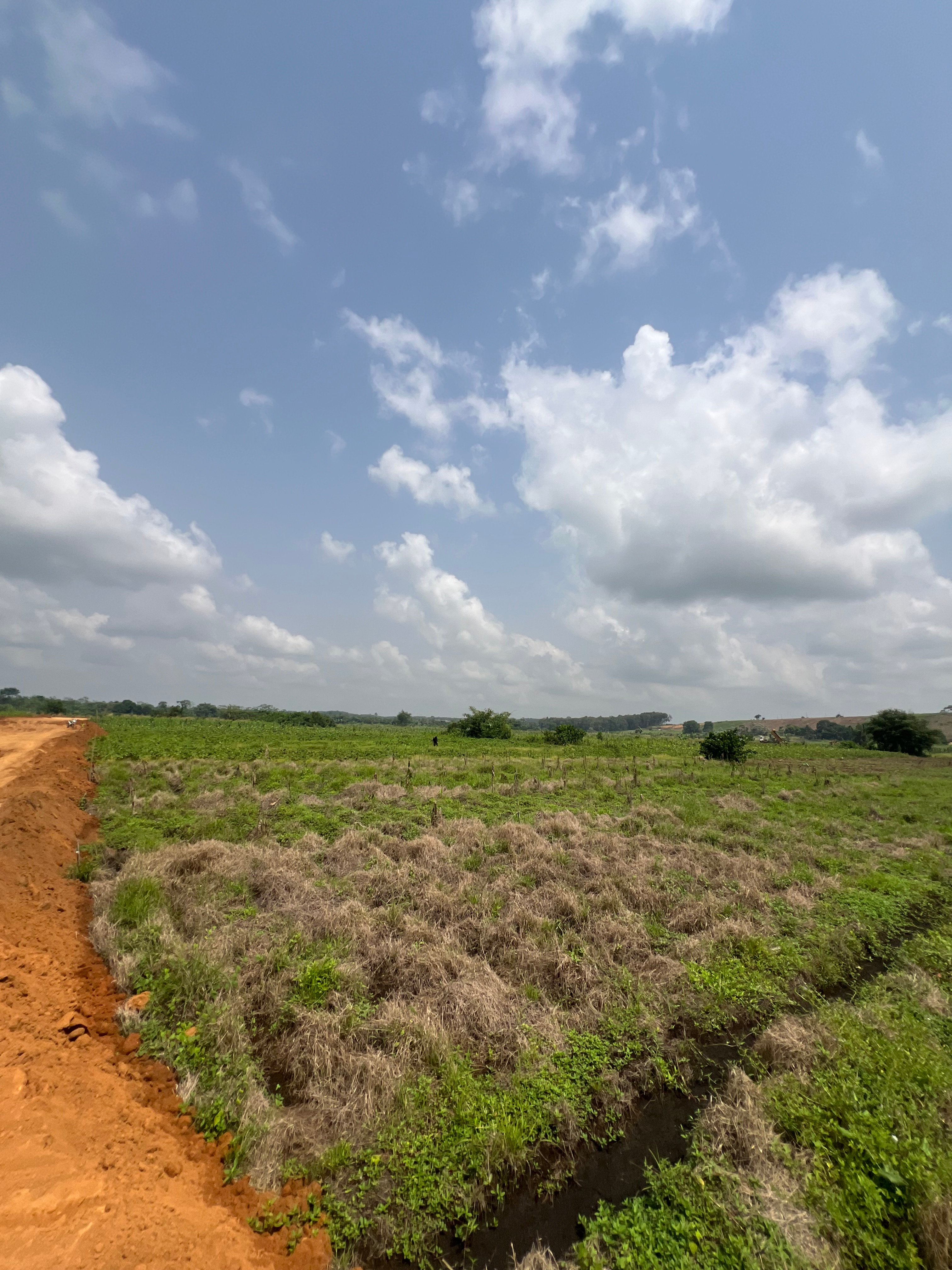 SALE OF 10 HECTARES IN SONGON IN AN EASILY ACCESSIBLE AREA