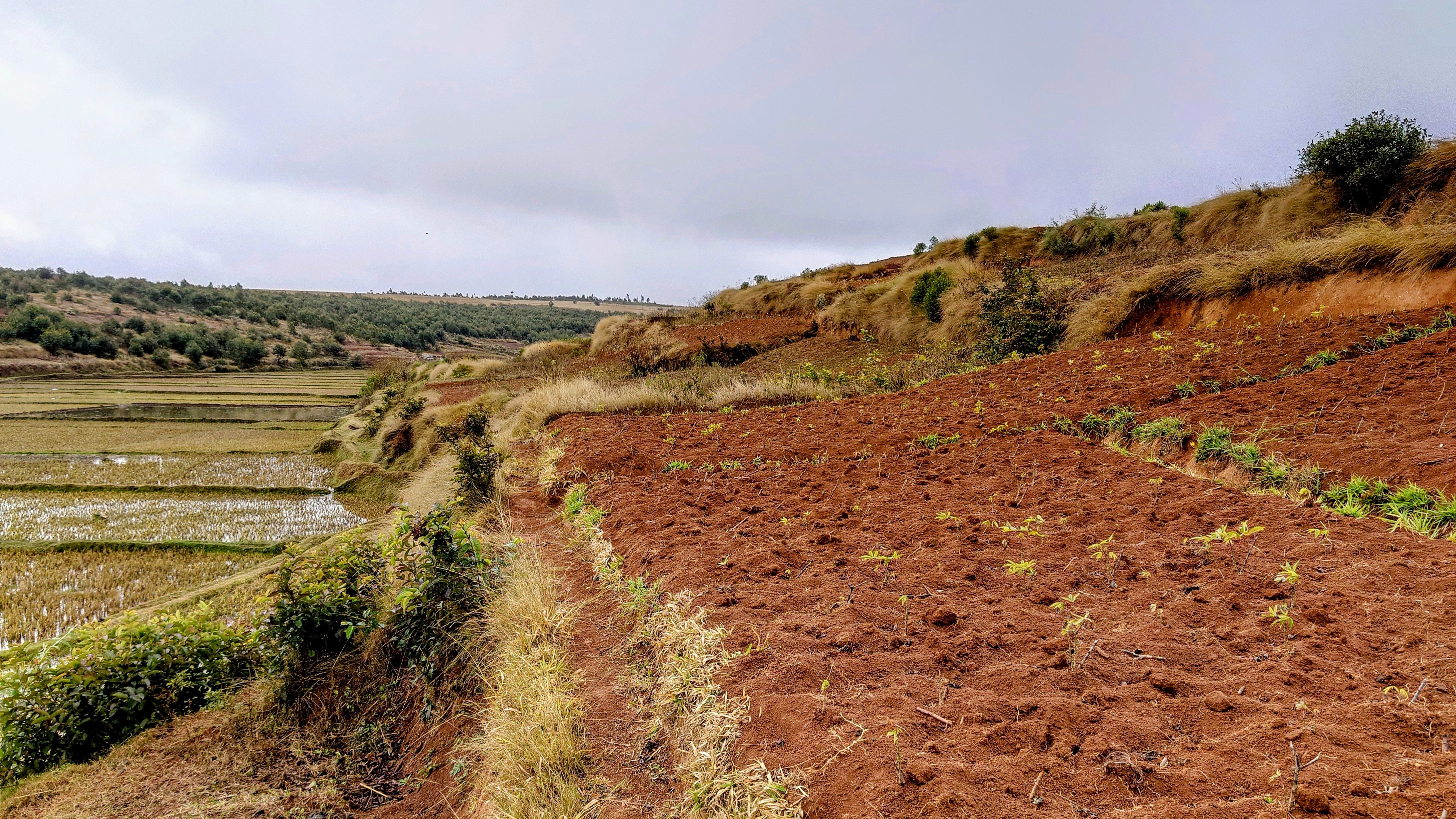 À Vendre : Magnifique terrain de 9 800 m² à Ambohimalaza – Un cadre idyllique pour un projet d'exception