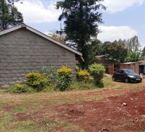 3 bedrooms house plus SQ for mixed use.