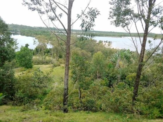 Terrain à vendre sur le canal des Pangalanes 