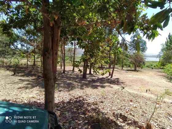 A VENDRE, un terrain au sud d'Ampefy, au bord du lac Itasy