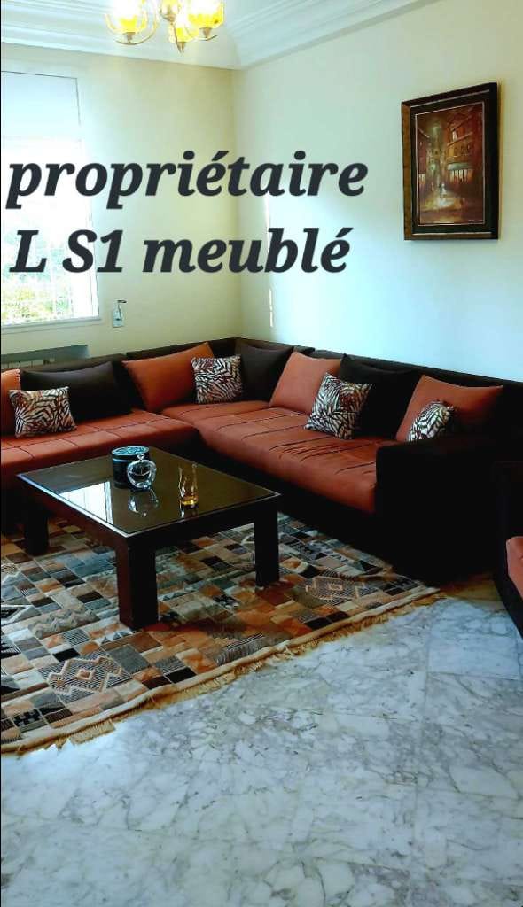 Excellent furnished S1 apartment for foreigners 