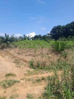 AUTOROUTE DU NORD au PK 30 vente parcelle 8ha (ACD).