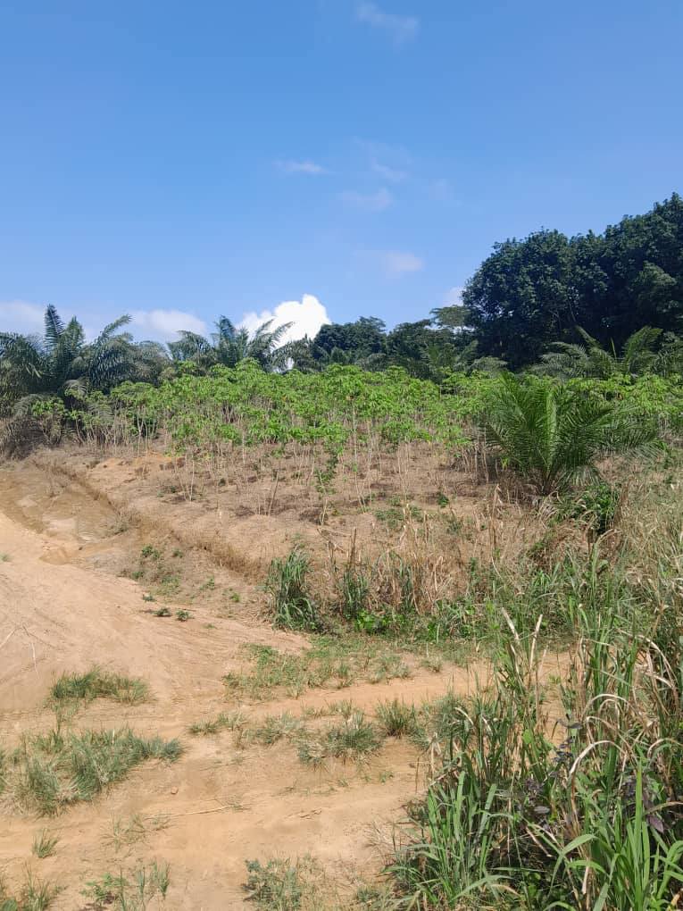 AUTOROUTE DU NORD au PK 30 vente parcelle 8ha (ACD).