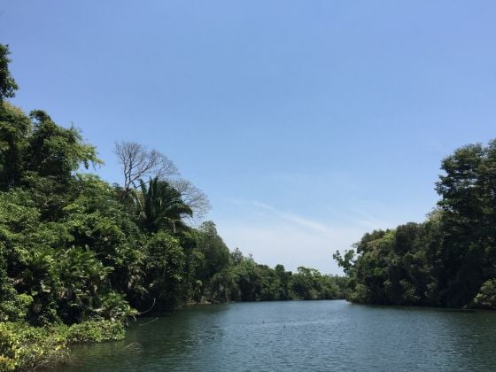 20 Acres Moho River Front Property 