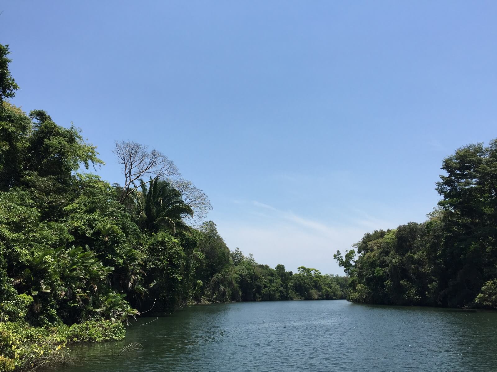 Proprietà di 20 acri affacciata sul fiume Moho 