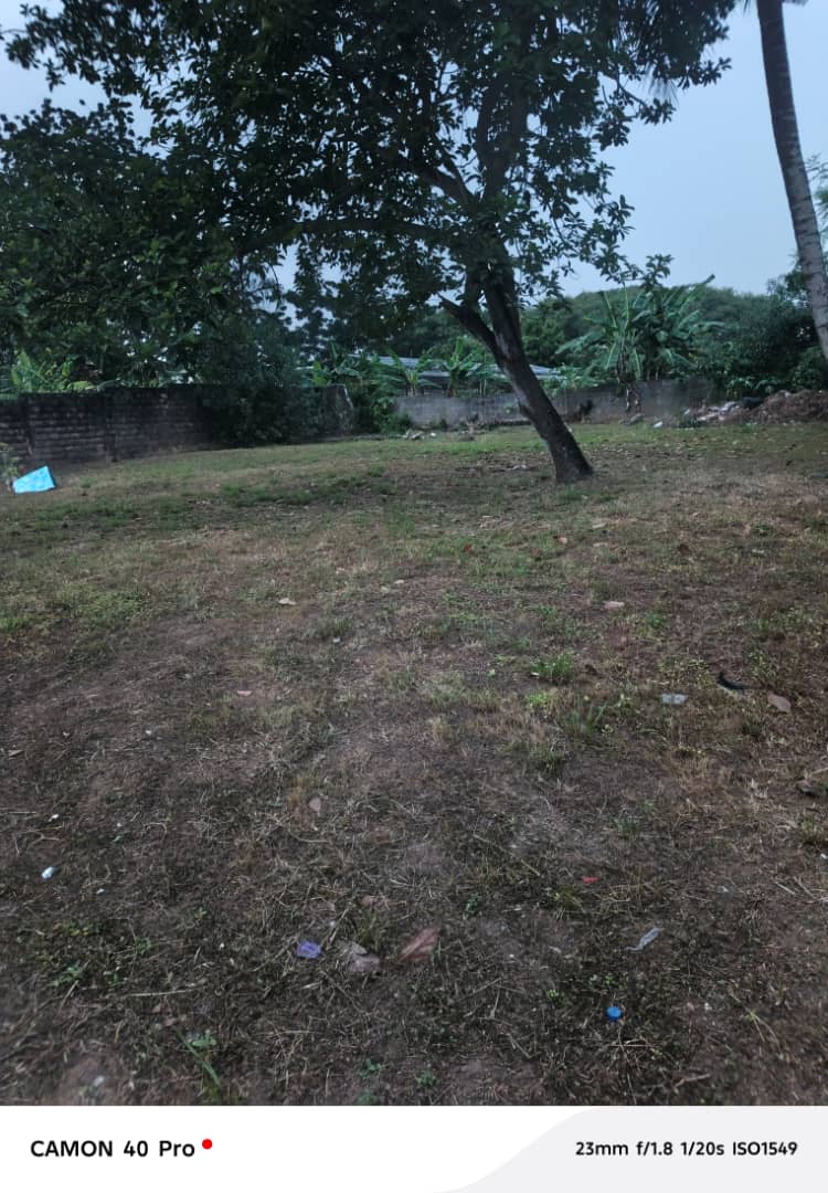 For sale: a 2700m2 plot of land in Cocody Riviera Golf 4